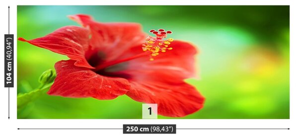 Fototapet Hibiscus roşu