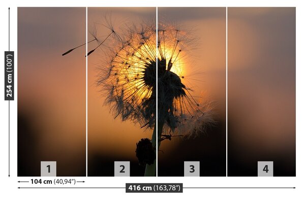 Fototapet Păpădie Sun