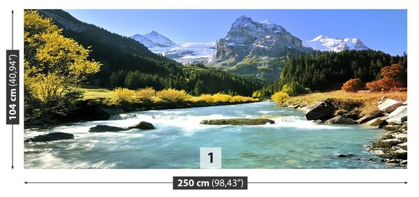 Fototapet Alpii elvețieni