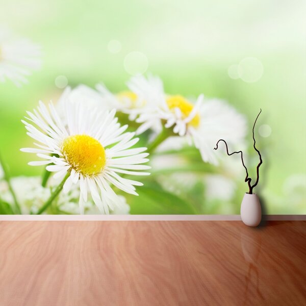 Fototapet Green Daisy