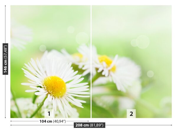 Fototapet Green Daisy