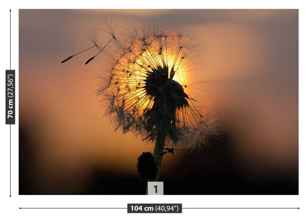 Fototapet Păpădie Sun