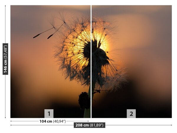 Fototapet Păpădie Sun
