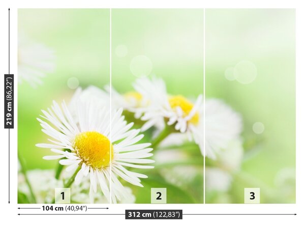 Fototapet Green Daisy