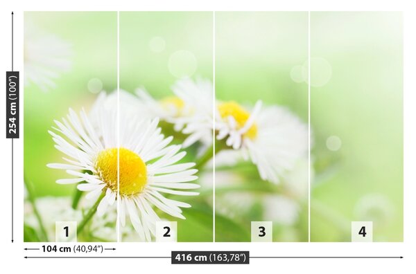 Fototapet Green Daisy