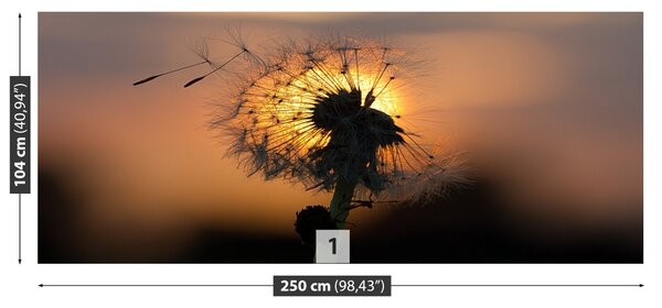 Fototapet Păpădie Sun