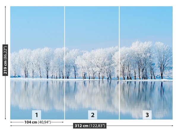Fototapet Iarnă