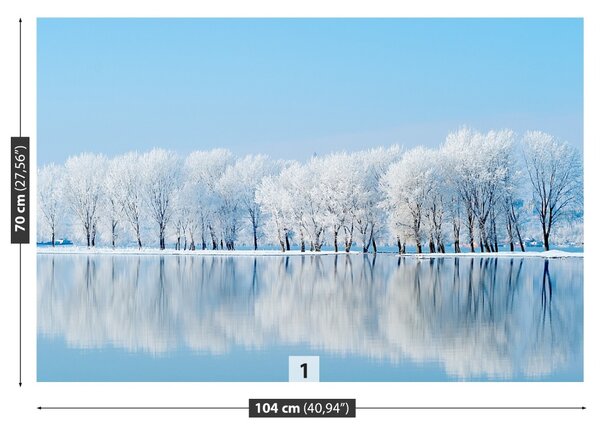 Fototapet Iarnă