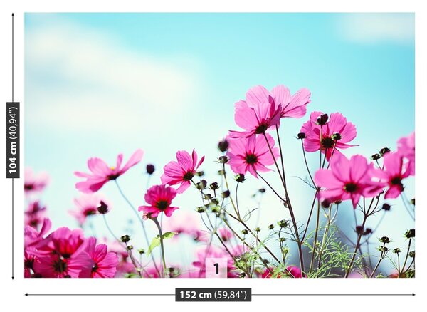 Fototapet Flower Sky