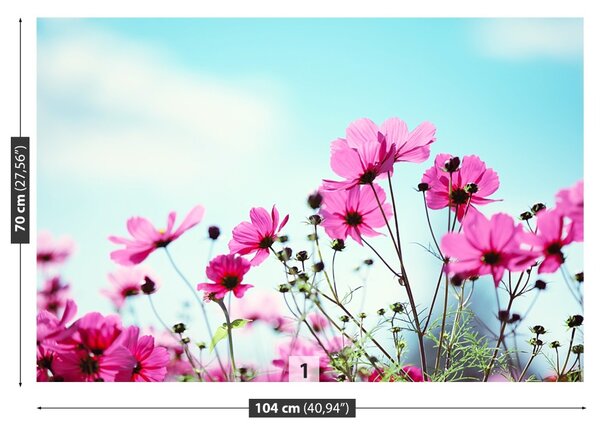 Fototapet Flower Sky