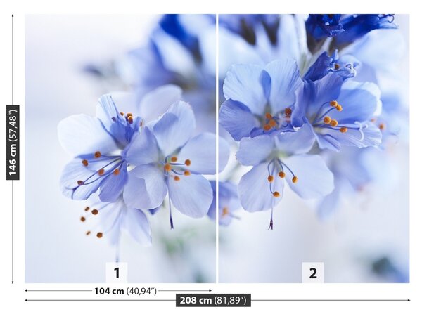 Fototapet Flori albastre