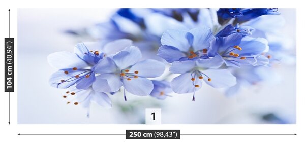 Fototapet Flori albastre