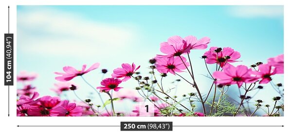 Fototapet Flower Sky