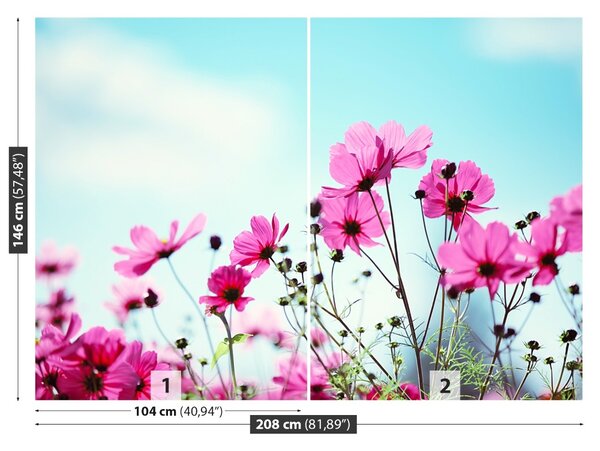 Fototapet Flower Sky