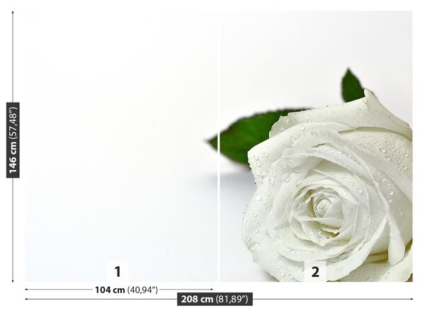 Fototapet Trandafir alb