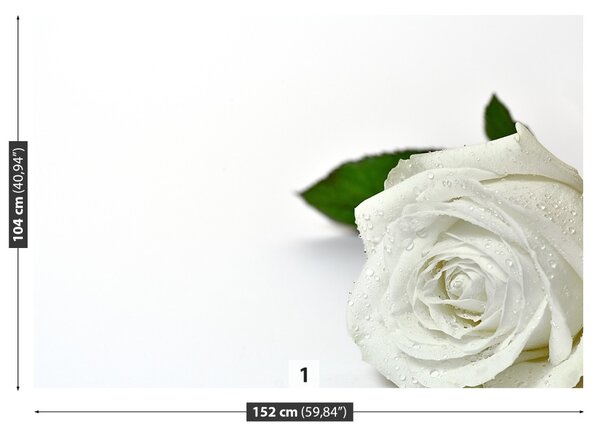 Fototapet Trandafir alb