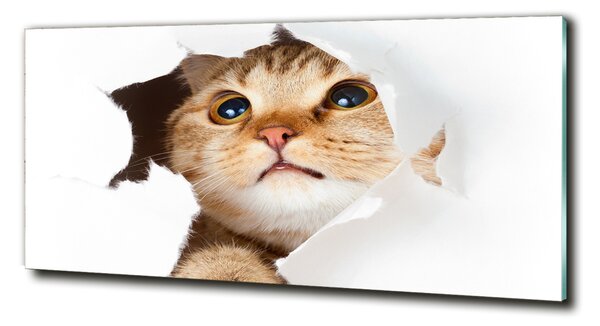 Tablou Printat Pe Sticlă Cat în gaura