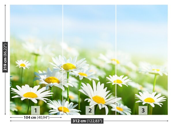 Fototapet Green Daisy