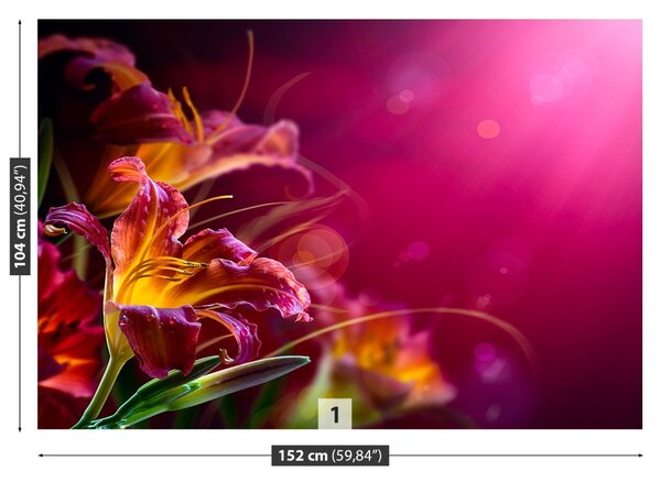 Fototapet Purple Lily