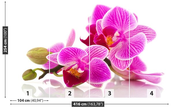 Fototapet Flori Orhidee
