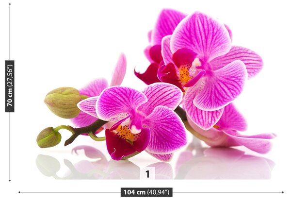 Fototapet Flori Orhidee