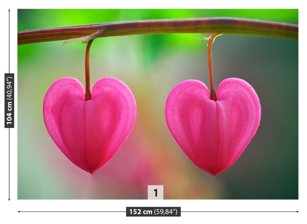 Fototapet Flower Heart