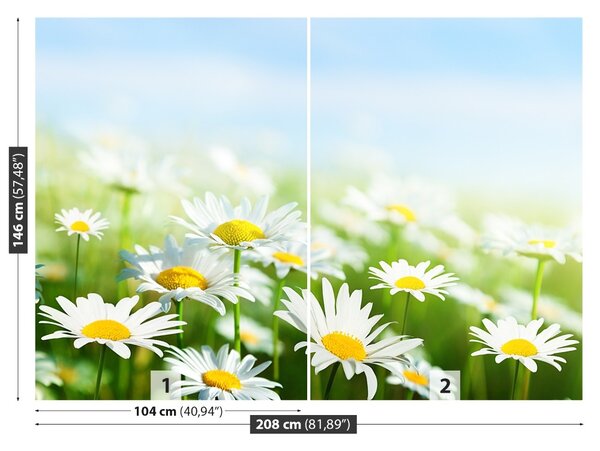 Fototapet Green Daisy