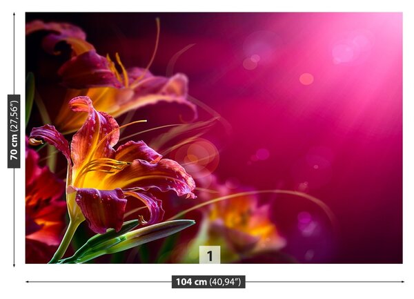 Fototapet Purple Lily