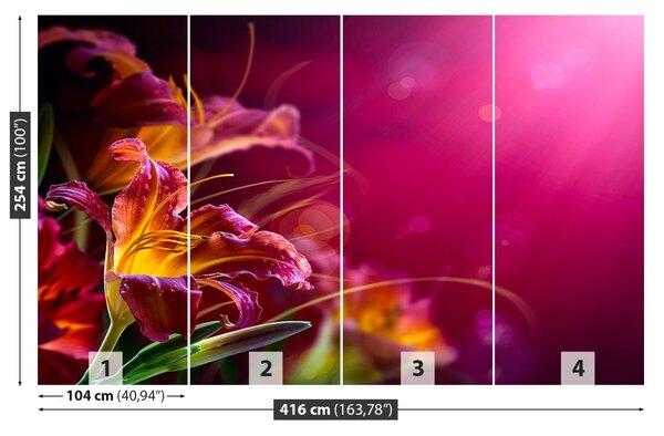 Fototapet Purple Lily