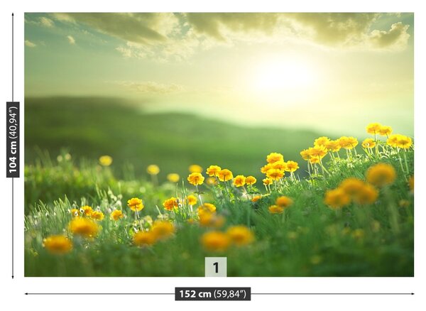 Fototapet luncă