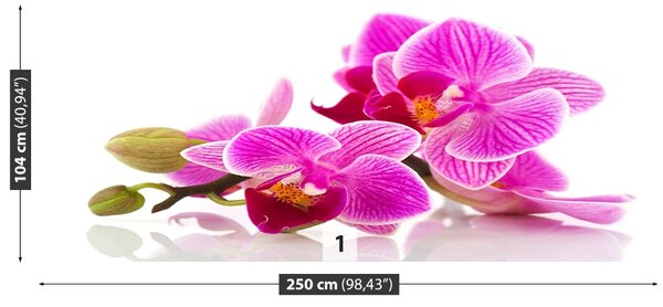 Fototapet Flori Orhidee