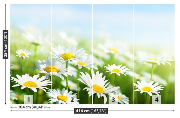 Fototapet Green Daisy