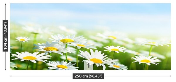 Fototapet Green Daisy