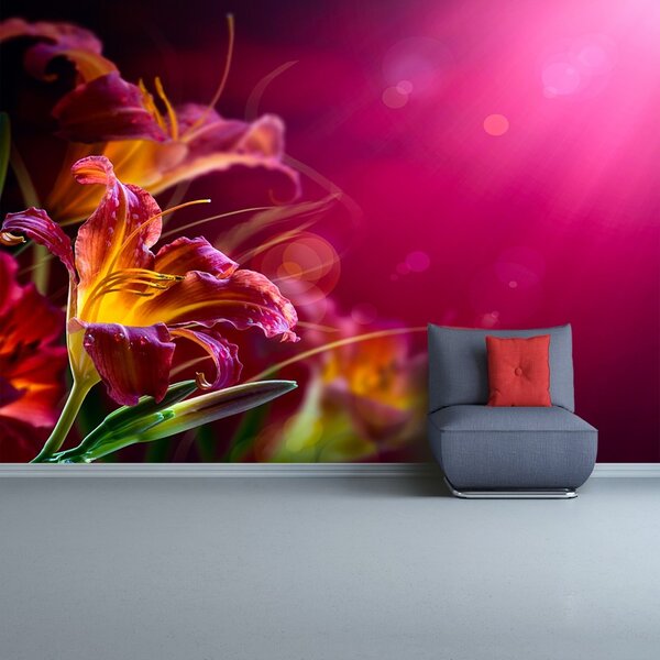 Fototapet Purple Lily