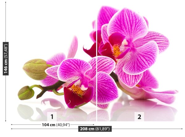 Fototapet Flori Orhidee