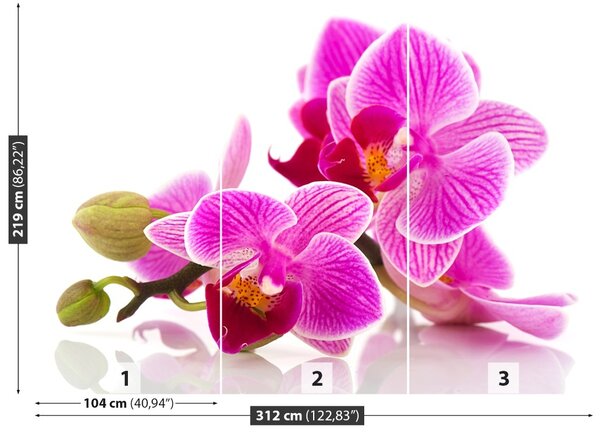 Fototapet Flori Orhidee