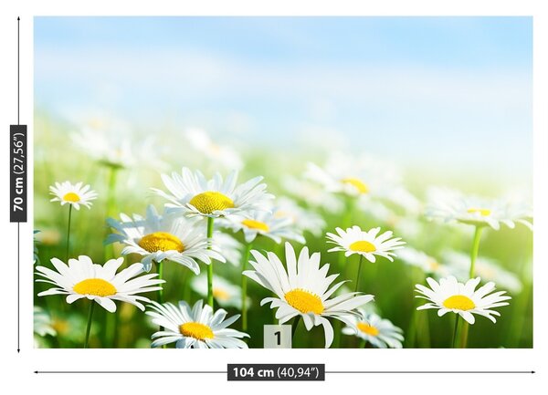 Fototapet Green Daisy