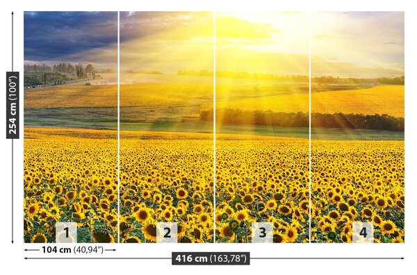 Fototapet Domeniu de Sunflowers