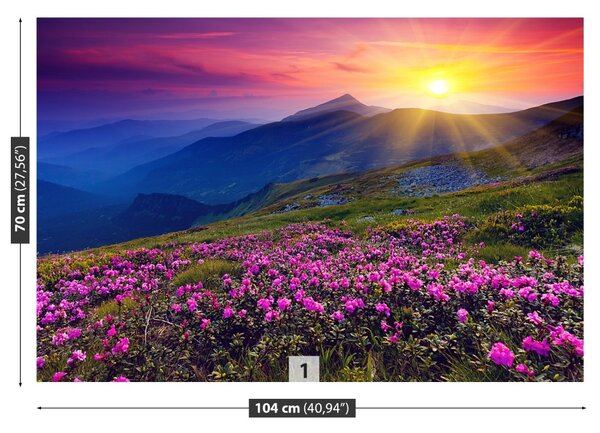 Fototapet Rhododendron Flori