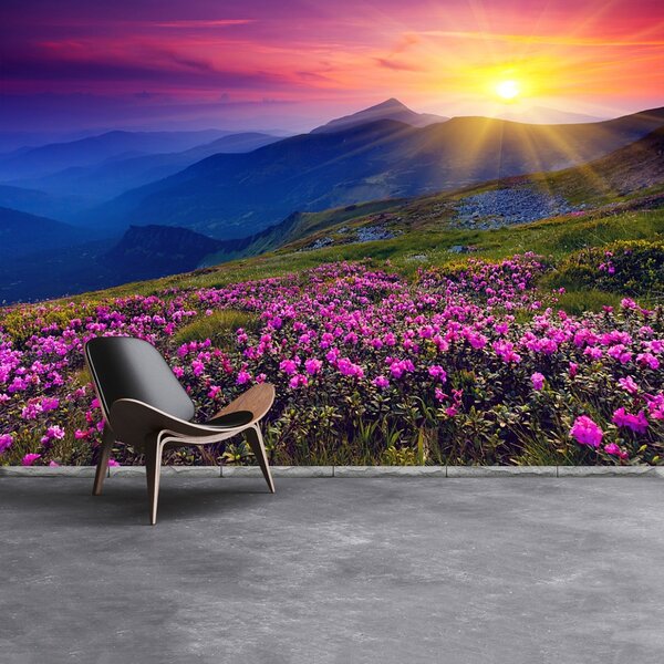 Fototapet Rhododendron Flori