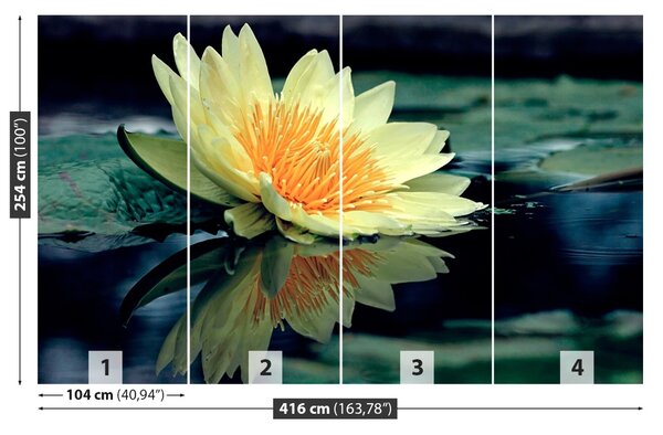 Fototapet Floare de lotus
