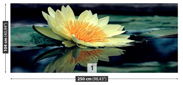 Fototapet Floare de lotus
