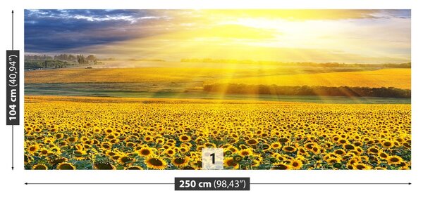 Fototapet Domeniu de Sunflowers