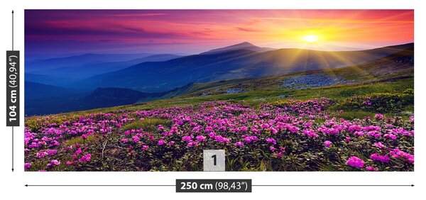 Fototapet Rhododendron Flori