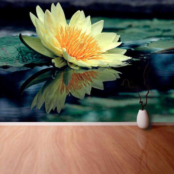 Fototapet Floare de lotus