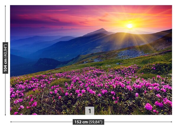 Fototapet Rhododendron Flori