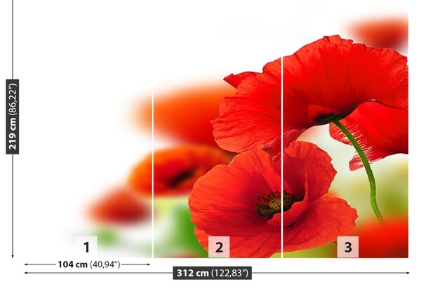 Fototapet maci alb