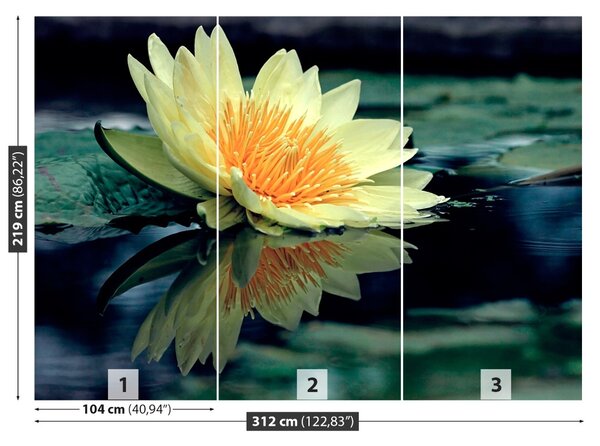 Fototapet Floare de lotus