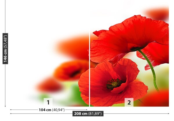 Fototapet maci alb