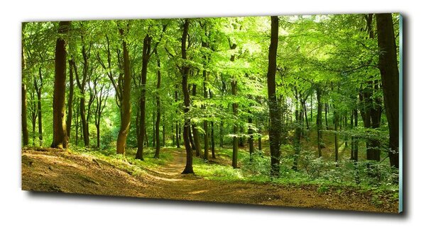 Imagine de sticlă drum forestier